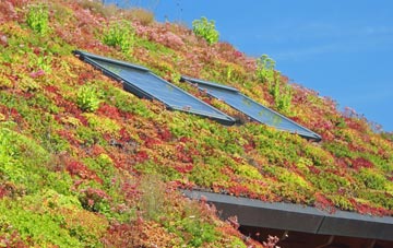 Sunnymede living roof systems