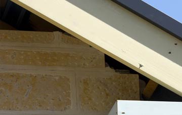soffit repair Sunnymede